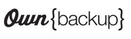 backup